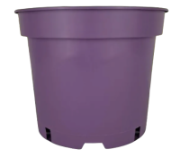 2024-12-25_09-44-55-no-bg-preview (carve.photos)