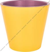 1689066084_image_331859.jpg_big 1