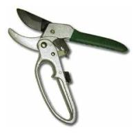 Новый точечный рисунок