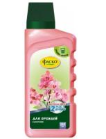 Новый точечный рисунок (91)