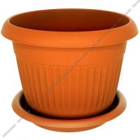 1706455241_image_74952.jpg_big[1]