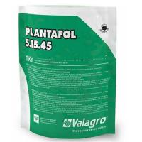 Новый точечный рисунок (91)