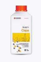 Новый точечный рисунок