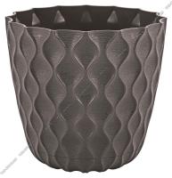 1789089640_image_352545.jpg_big[1]