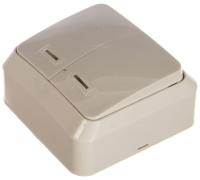 Выключатель 2кл белый Юпитер SmartBuy с подсветкой арт.SBE-03w-10-SW2-1