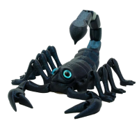 2024-12-18_14-17-37-no-bg-preview (carve.photos)