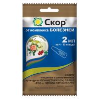 okuk1fcmoxckyozqiwskd2ey0tw56h0f