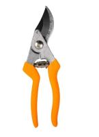 Новый точечный рисунок