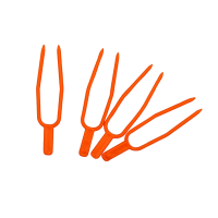 1600 1-no-bg-preview (carve.photos)