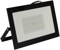 Прожектор светодиодный Smartbuy SBL-FLLight-100-65K