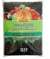 Новый точечный рисунок (91)