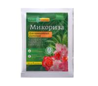 Новый точечный рисунок