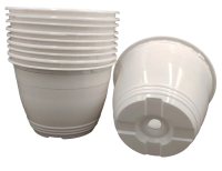 2024-12-25_11-33-53-no-bg-preview (carve.photos)