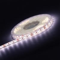 SMD5050 SBL-IP65-14-4-6500K