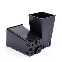 thxc54v6bv6meotl5l7hkw5i7xxs9le5