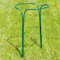 qi2diepx482hlh4vwgyv2074b44g09s4 1