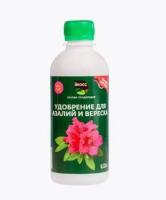 Новый точечный рисунок (91)