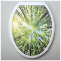 Сиденье для унитаза пластик Росспласт Лес РП-813 314864