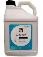 Новый точечный рисунок