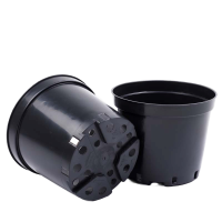 bnpbmk9vag5dh5bm8p6qlz2bw2ftzf7x-no-bg-preview (carve.photos)