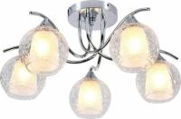 Св-к MDL 10221-5 5рож.