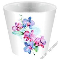 1719110721_image_310698.jpg_big[1]