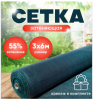 Безымянный