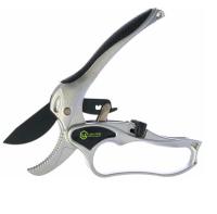 Новый точечный рисунок