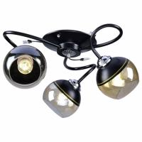 Св-к РС22895-3 3 рож.