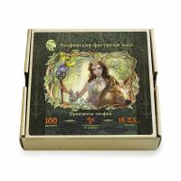 Пазлы Принцесса Эльфов 100 шт арт.PF0103