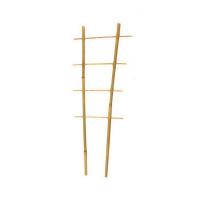 btl0deycoamqccs2lhld22oca9g9mxdp