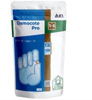 Новый точечный рисунок (91)