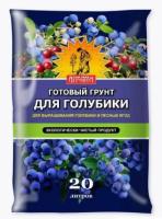 Новый точечный рисунок (91)