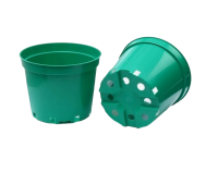 2025-04-04_13-36-33-no-bg-preview (carve.photos)