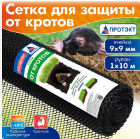 Безымянный