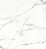 Снимок49 (бьянка)