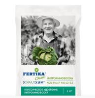 Новый точечный рисунок