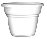 ft6aqwk0vpl0vgmmnf2eaz218cr89qj7