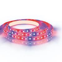 Лента светодиодная Fito 12V  9,6W Feron LS670 (уп 5м)