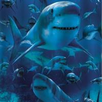 Штора для ванны Brimix 180 200 Акула 02-03