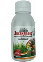 Новый точечный рисунок