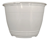 2024-12-25_11-43-13-no-bg-preview (carve.photos)