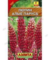 811fbe102470c7789b833e57814d89e7 1