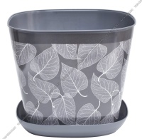 1691920763_image_325777.jpg_big[1]