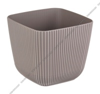 1752555135_image_347740.jpg_big[1]