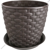 1754854729_image_183161.jpg_big[1]